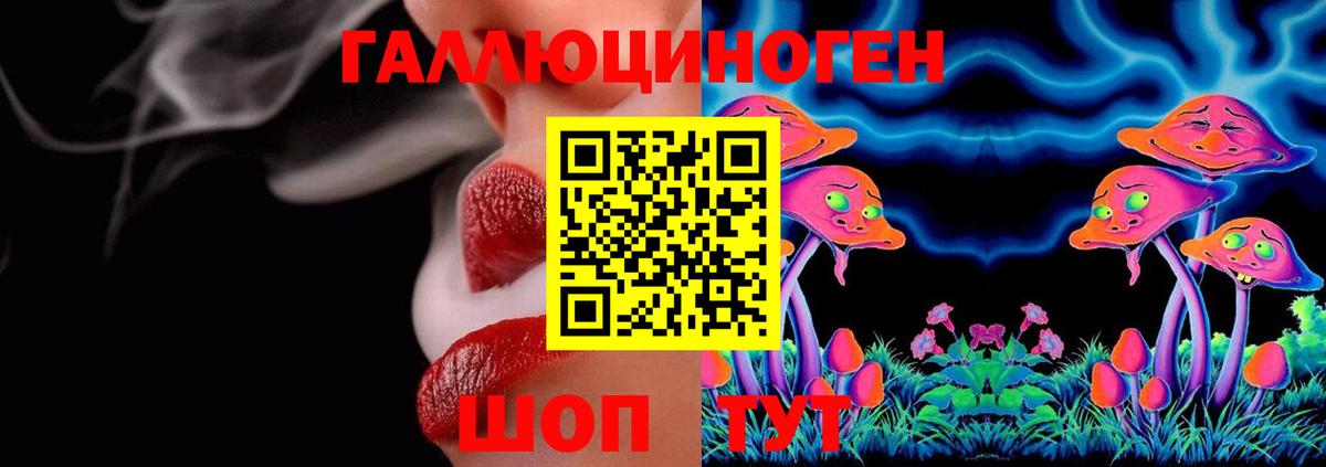 продажа наркотиков  Вход с VPN  Бийск  Галлюциногенные грибы мицелий 